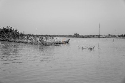 08122013-BL6A1233.jpg