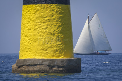 A29X7230.jpg