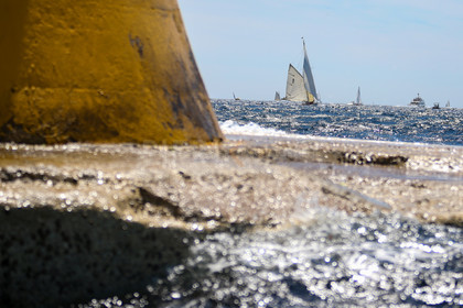 A29X4568.jpg