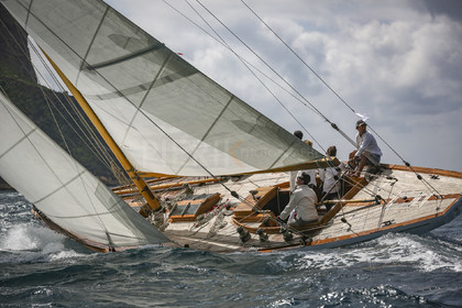 O60A5014.jpg