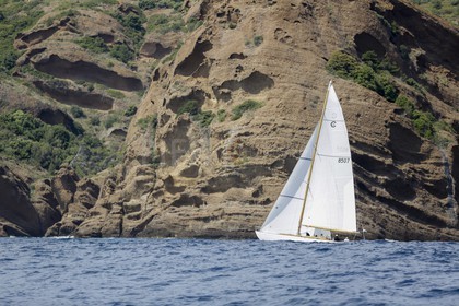 O60A7213.jpg