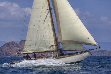 O60A6519.jpg