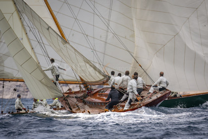 A29X9479.jpg