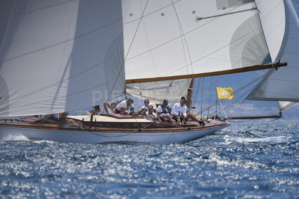 VVP_2023-08723.jpg