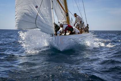 O60A0236.jpg