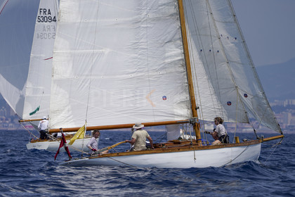 VVP_2023-7881.jpg