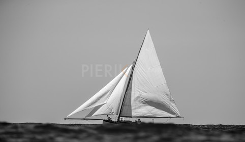 A29X8666.jpg