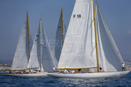A29X2437.jpg