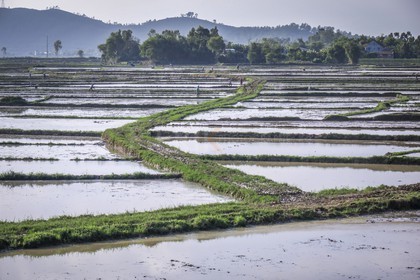 Hoi An-43.jpg
