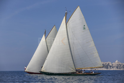 A29X2454.jpg