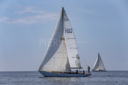 A29X2521.jpg
