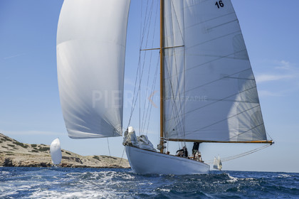 O60A8082.jpg