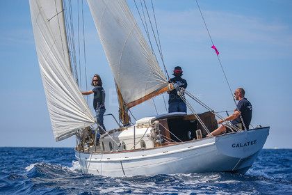 A29X4343.jpg