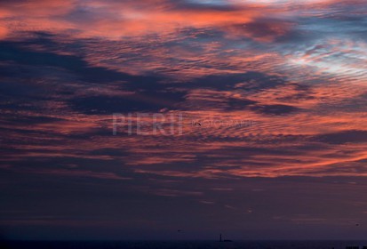 IMG_3567.jpg