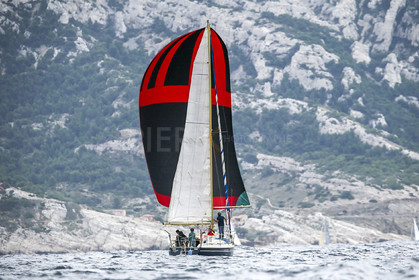 VireVire2014-286.jpg