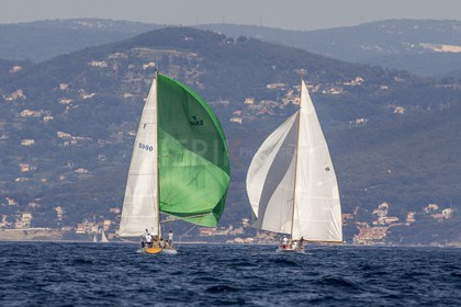 A29X7110.jpg