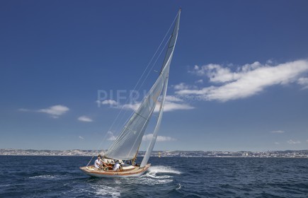 O60A8555.jpg