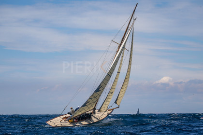 A29X9206.jpg