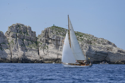 VVP_2023-07681.jpg