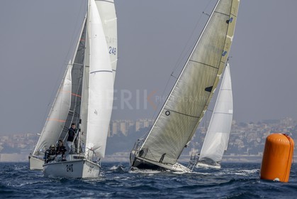 _L6A2005.jpg
