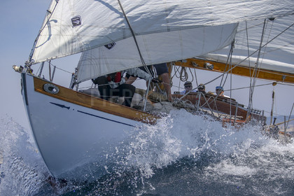 A29X0336.jpg