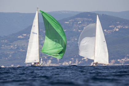 A29X7095.jpg