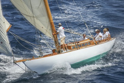 A29X1409.jpg