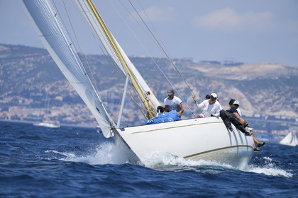 VVP_2023-08551.jpg