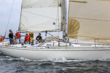 VireVire2014-162.jpg