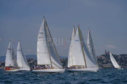 DSC09515.jpg