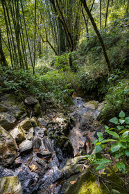 DSC05153.jpg