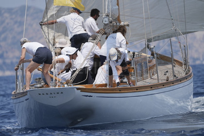 VVP_2023-07770.jpg