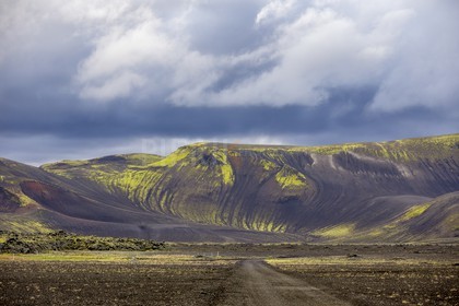 A29X5075.jpg