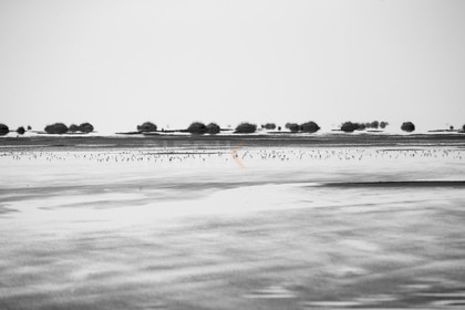 A29X4833.jpg