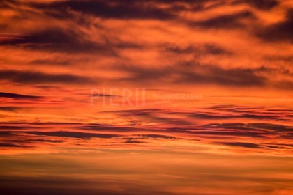 IMG_3585.jpg
