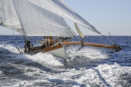 O60A5778.jpg