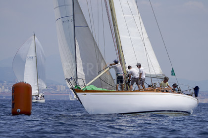 VVP_2023-7710.jpg