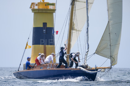 VVP_2023-08780.jpg