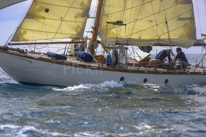 O60A6118.jpg