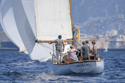 VVP_2023-07889.jpg