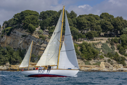 O60A5620.jpg