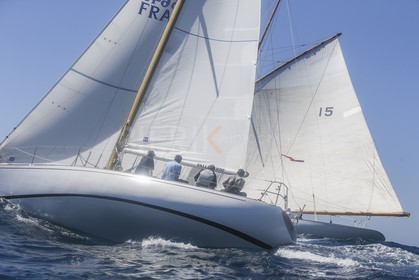 A29X6541.jpg