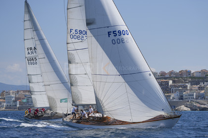 VVP_2023-08478.jpg