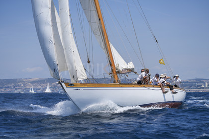 VVP_2023-08507.jpg
