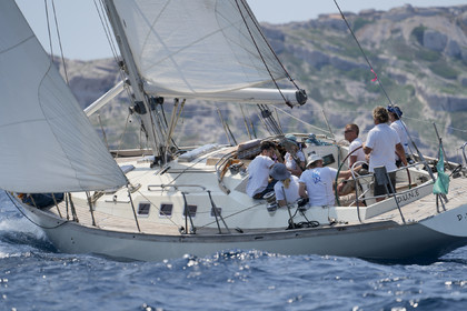 VVP_2023-07654.jpg