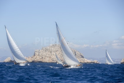 A29X6565.jpg