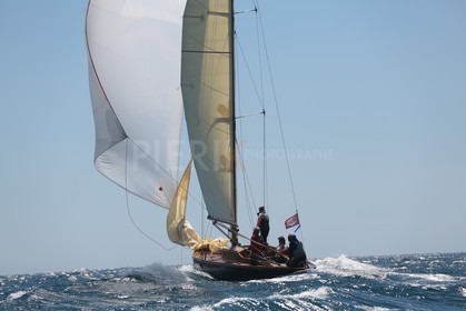 Windhover