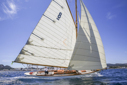 O60A8277.jpg