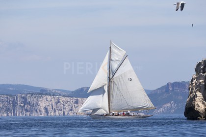 A29X9567.jpg