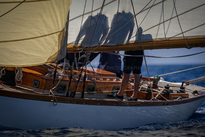 A29X1637.jpg